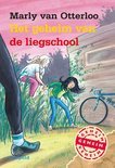 Afbeelding van Het geheim van de liegschool