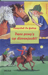 Afbeelding van Ponyclub in galop 55. Twee pony's op dievenjacht!