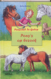 Afbeelding van Ponyclub in galop 56. Pony's op bezoek