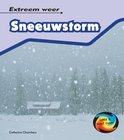 Afbeelding van Sneeuwstorm