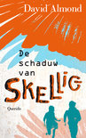 Afbeelding van De Schaduw Van Skellig