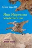 Afbeelding van Niels Holgerssons wonderbare reis