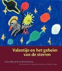 Afbeelding van Valentijn En Het Geheim Van De Sterren