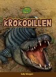 Afbeelding van Krokodillen