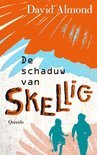 Afbeelding van De schaduw van Skellig