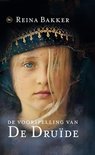 Afbeelding van De voorspelling van de druide