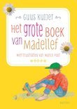 Afbeelding van Het grote boek van Madelief