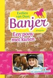 Afbeelding van Een pony met kuren