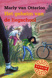 Afbeelding van Het geheim van de liegschool