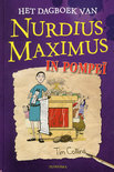 Afbeelding van Het dagboek van Nurdius Maximus in Pompei